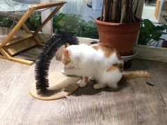 -小时光咖啡馆(开森度假森林店)