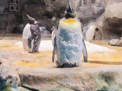 -香港海洋公园