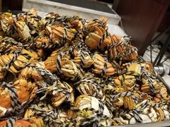 -新发展亚太JW万豪酒店·福苑咖啡厅