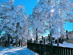 -西岭雪山大飞水景区