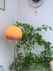 -变美丽半永久纹眉连锁·机器野生眉·洗眉