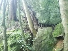 -祁门牯牛降观音堂风景区