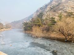-金龙寺国家森林公园