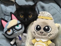 -津津名菜馆(绝没分店)