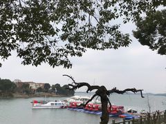 -山湖温泉