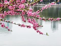 -西湖公园(鼓楼区)