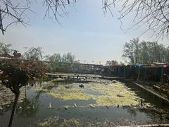 -同銮特种养殖场·龙虾垂钓