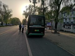 -白洋淀景区