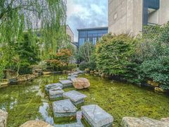 -上海崇明金茂凯悦酒店