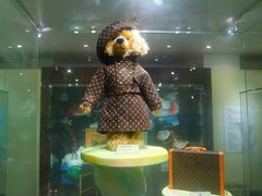 -济州岛泰迪熊博物馆