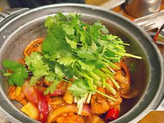 -禄婶鸡煲·打边炉