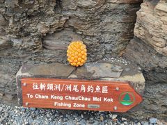 -东平洲海岸公园