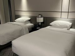 -新加坡乌节希尔顿酒店 (SG Clean)