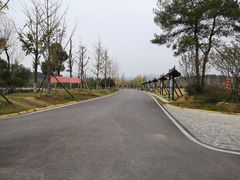 -黄陂区野村谷景区