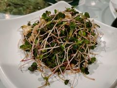 鲜核桃拌菜-申粤轩酒楼·三十年粤菜经典(丁香花园店)