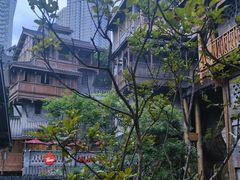 -重庆十八梯传统风貌区