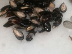 -鑫海汇海鲜烤肉火锅自助(七彩城店)