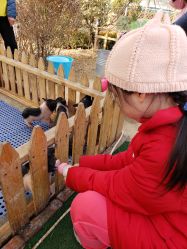 -萌宠亲子动物乐园(槐房万达店)