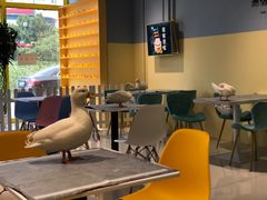 大堂-RU DUCK柯尔鸭公社·撸鸭俱乐部·羊驼·小香猪