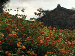 -许家山