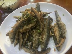 -全乐鱼馆·淳牌有机鱼直营店