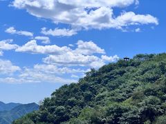 -大岭沟猕猴桃谷风景区