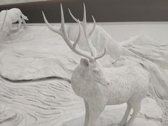 -中国湿地博物馆