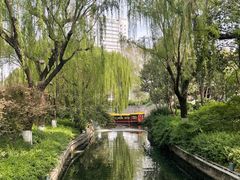 -趵突泉景区