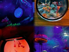 -沈阳海洋探索中心