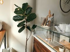-常识咖啡common sense(春熙路店)