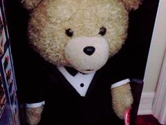 -济州岛泰迪熊博物馆