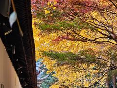 -西园戒幢律寺