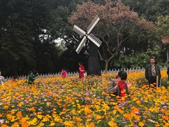 -晓港公园