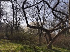 -杭州植物园