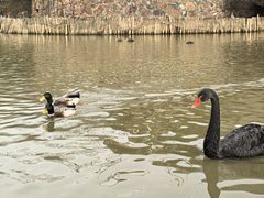 -无锡动物园·太湖欢乐园