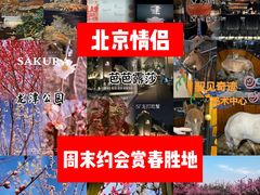 -运动派(北京店)