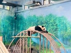 -杭州动物园
