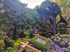 -汇龙潭