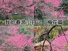 -中国茶叶博物馆(双峰馆区)