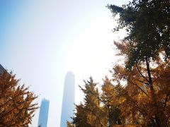 -青岛奥林匹克帆船中心