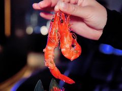 -Hi City·城市之巅