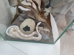 -海合安武汉极地海洋公园