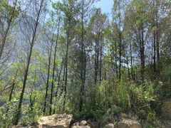 -秦岭终南山世界地质公园翠华山景区