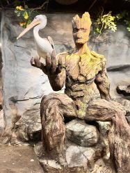 -Zoolung Zoolung动物主题公园(海信广场店)