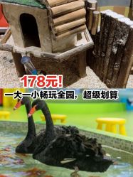 -七巧国萌宠乐园(龙湖天街店)