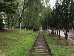 -永定河休闲森林公园