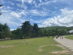 -奈良公园