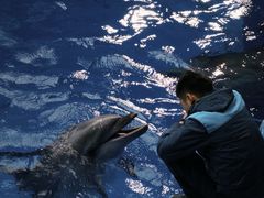 -海合安成都极地海洋公园