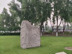 -莲花池公园