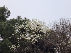 -食膳公园包子铺(烈士公园店)